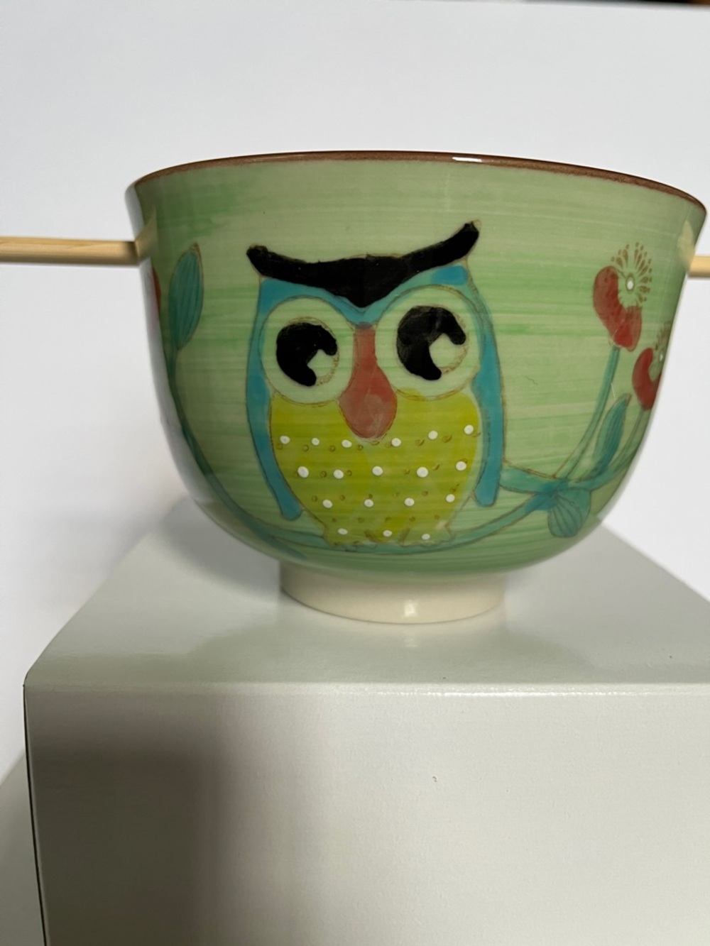 Hand-Painted Ramen Bowl Green Owl Ceramic Bowl NWOT